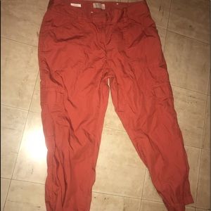 The loft outlet, cargo pants